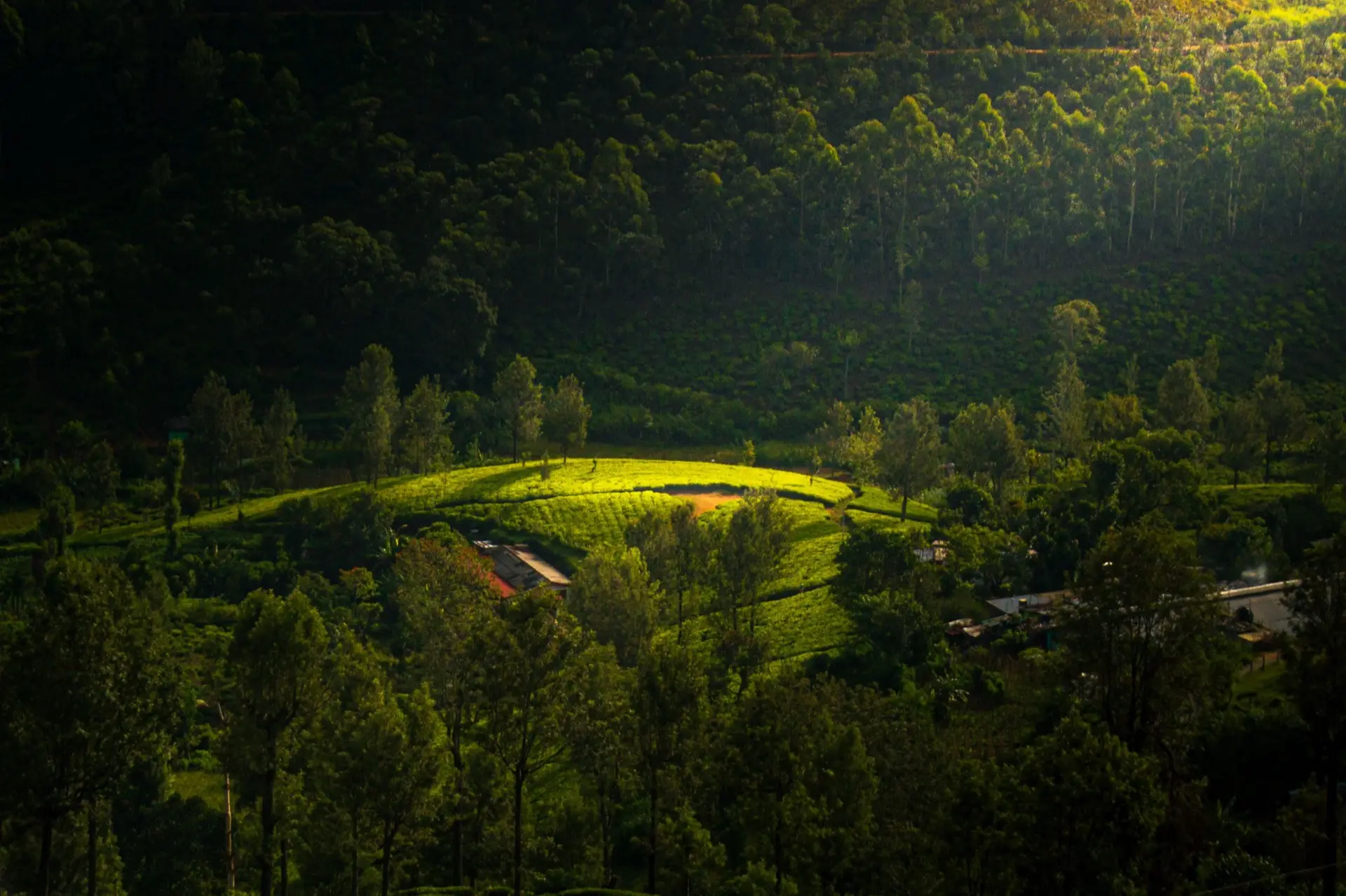 Sunrise over green hills, mist still lying in the valley floors.