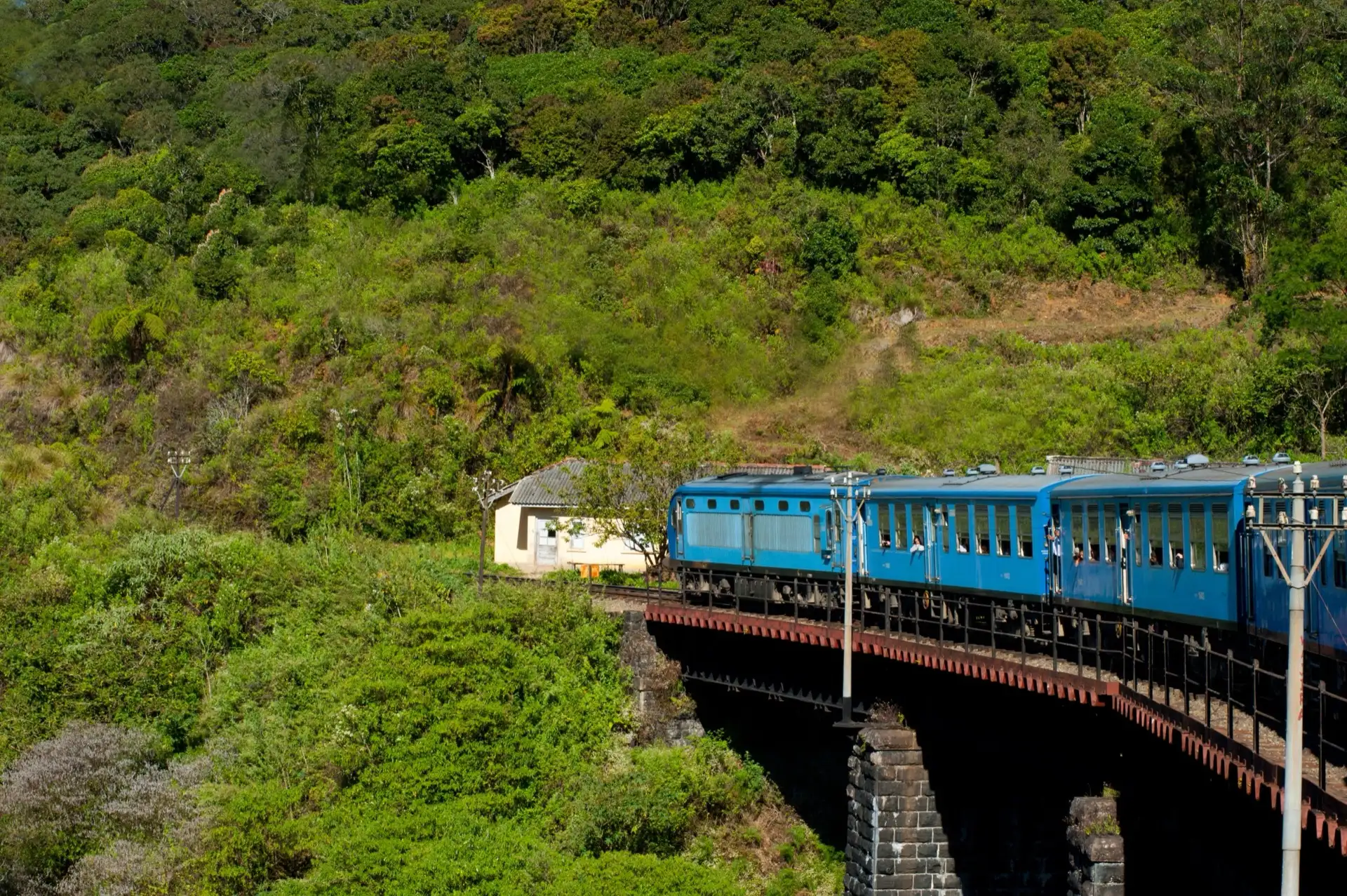 A blue train curving along a track cut into steep, densely green hillside.