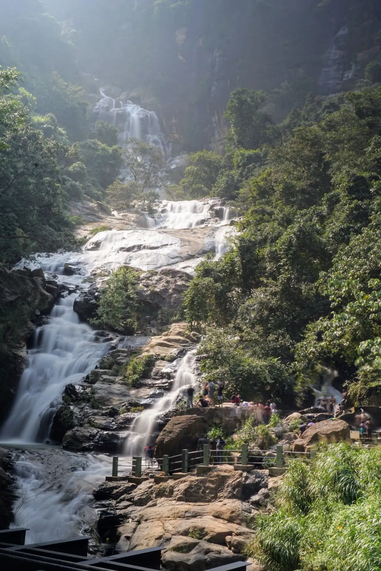 Water falling down a dark rock face into jungle on Sri Lanka's south side.