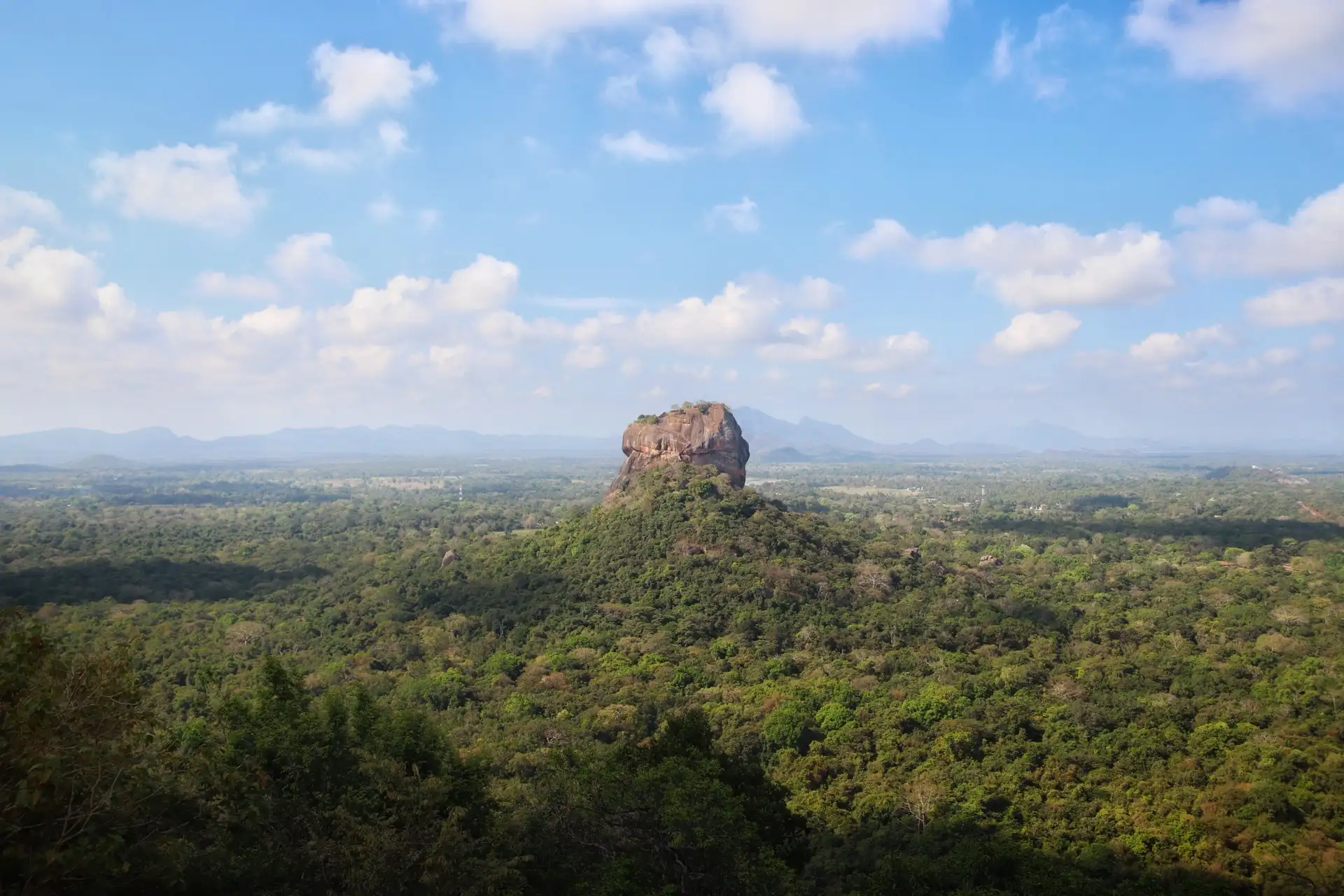Aerial view of Sigiriya rock surrounded on all sides by unbroken forest canopy.