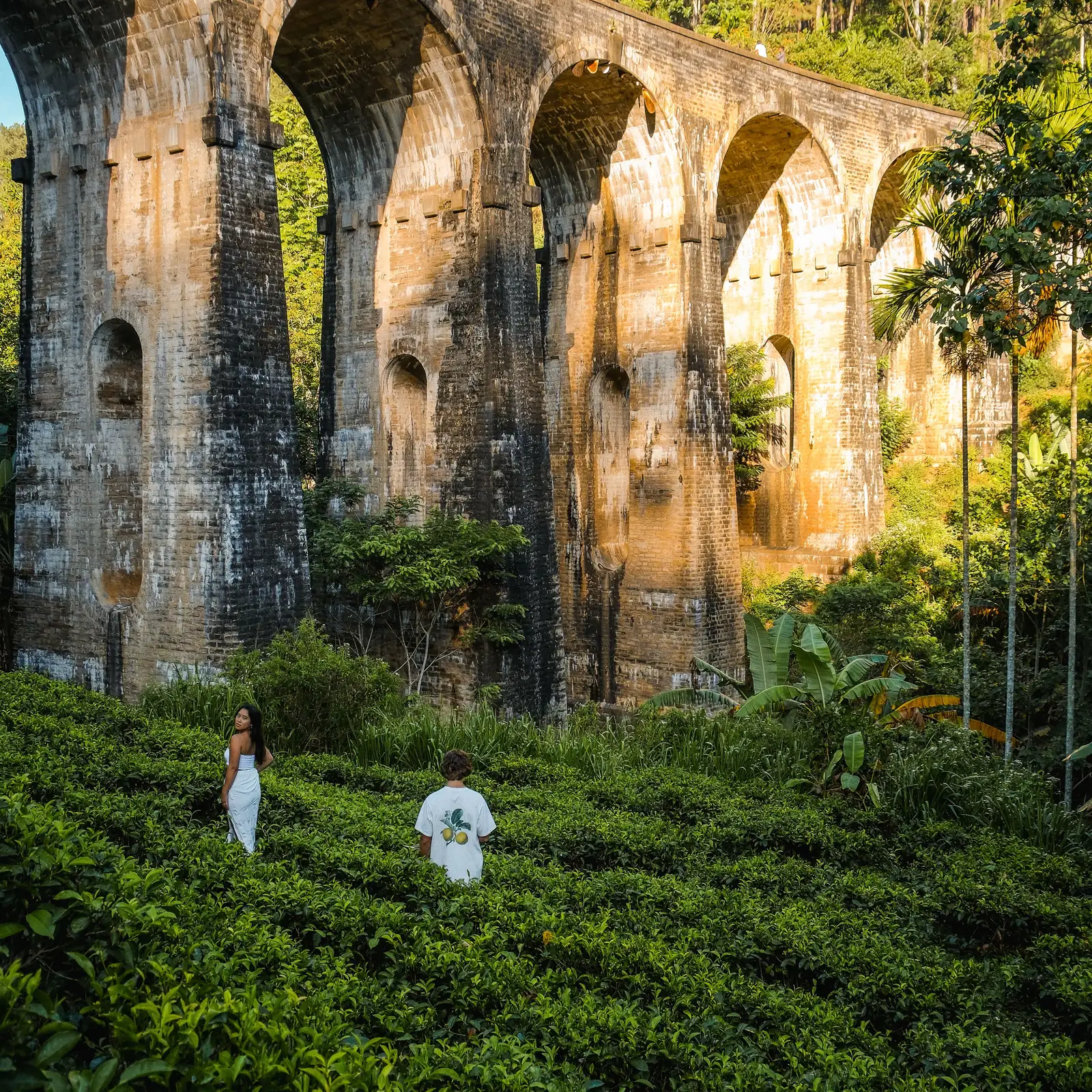 The Nine Arches Bridge curving through dense green hillside near Ella.