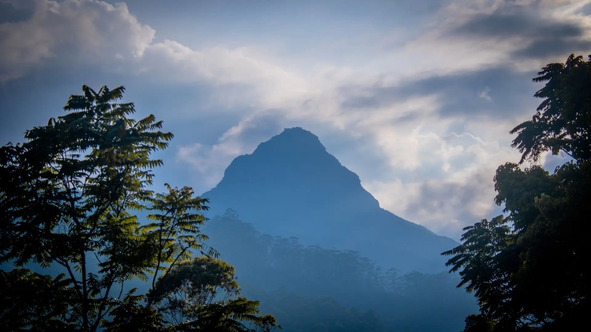 The conical summit of Adam's Peak rising through mist above forested hills near Hatton.