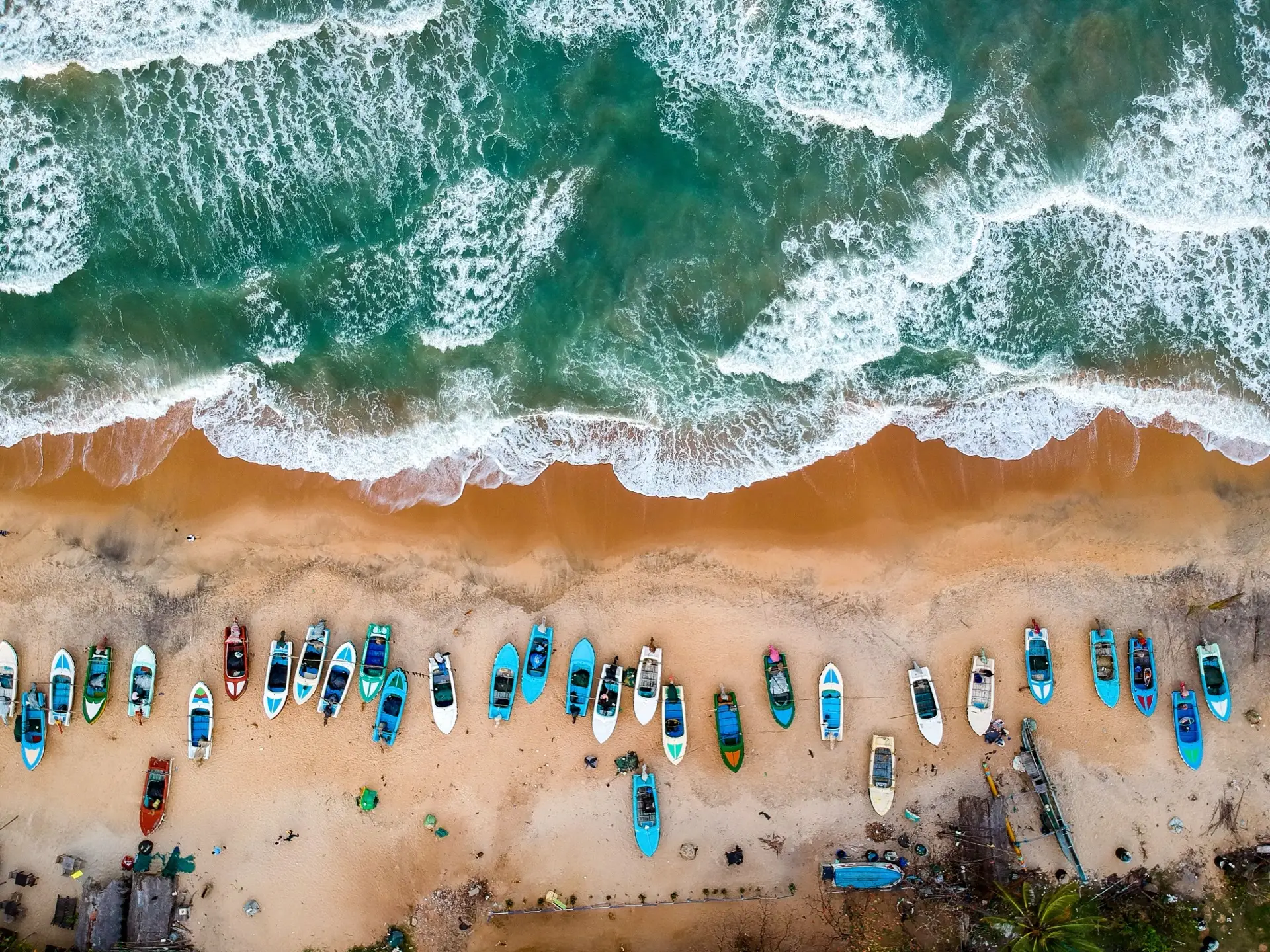 Aerial view looking down on fishing boats drawn up in a row on the sand at Arugam Bay, with surf running along the shoreline.
