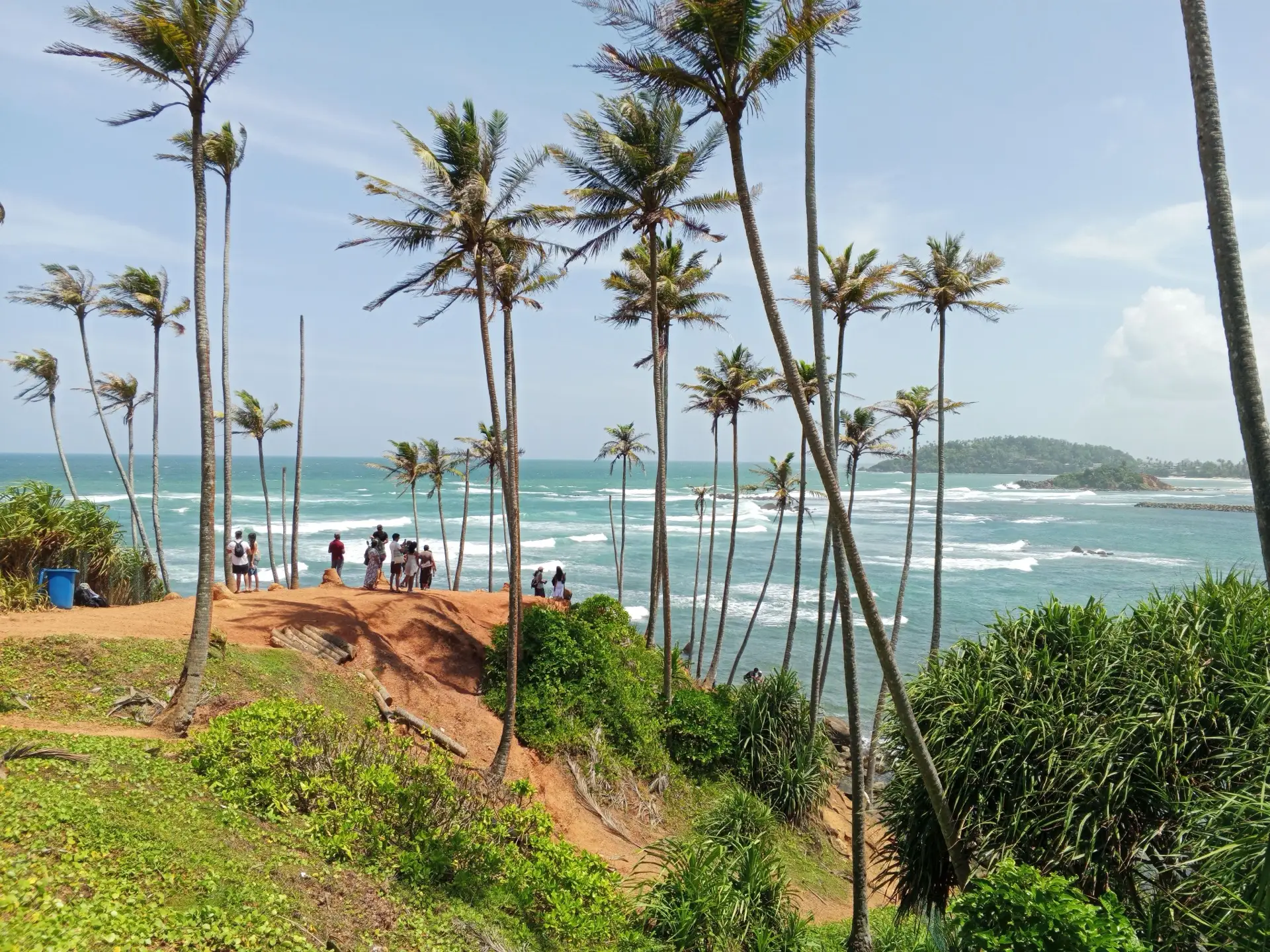 Visitors standing among leaning coconut palms on the red-earth headland above Mirissa's bay.