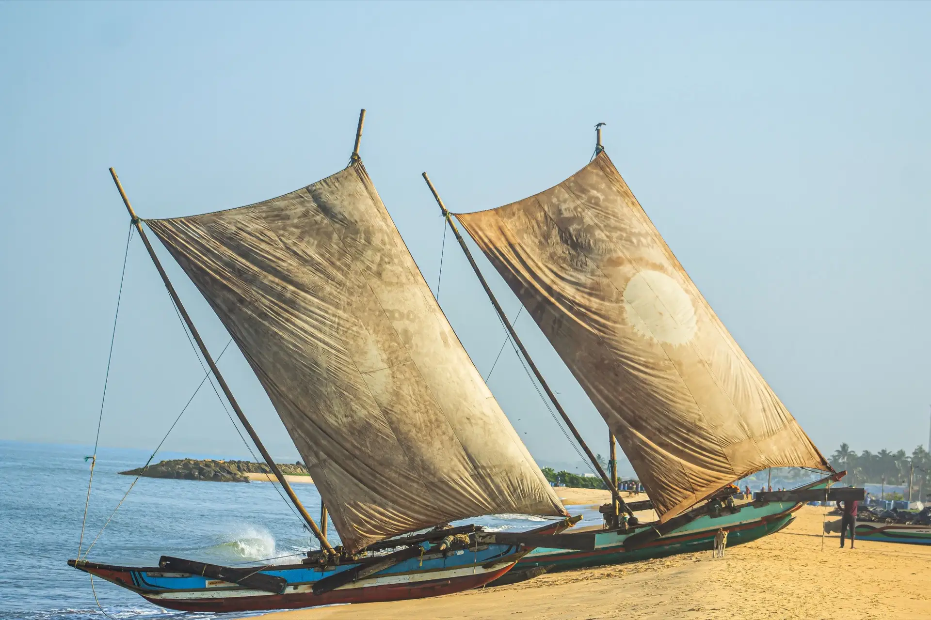 Two wooden outrigger fishing canoes with tall canvas sails drawn up on the sand at Negombo beach.