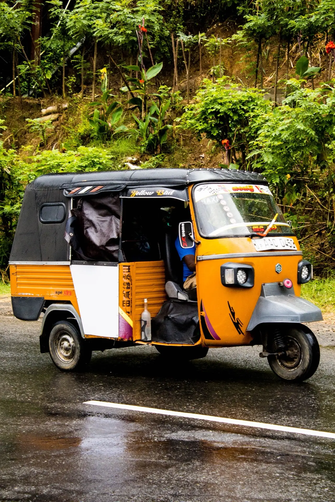 A bright orange three-wheeler on a wet road surrounded by dense green.
